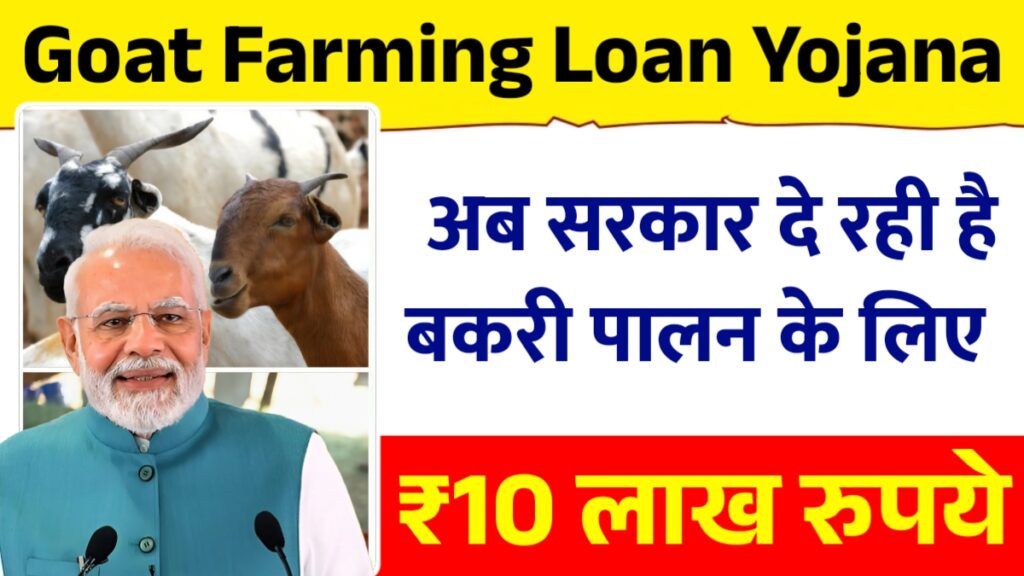 Goat Farming Loan